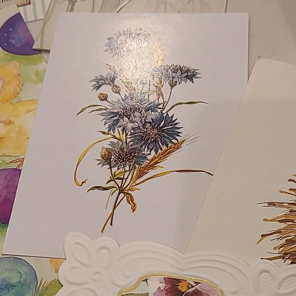 Card Postcard Bundle
